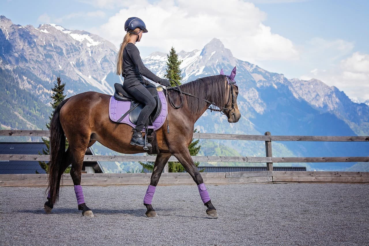 Englisch Reiten: Stil, Disziplinen & Einstieg erklärt